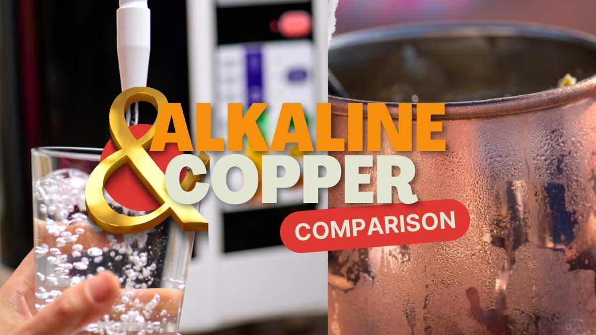 Alkaline vs Copper water purifier